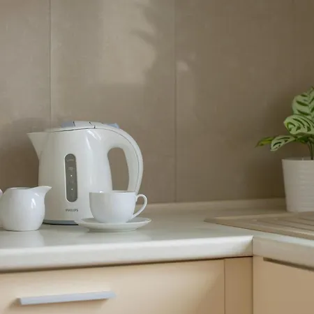Apartment Heart Of Spacious By Renters