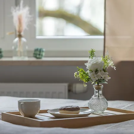 Heart Of Spacious By Renters * Sopot